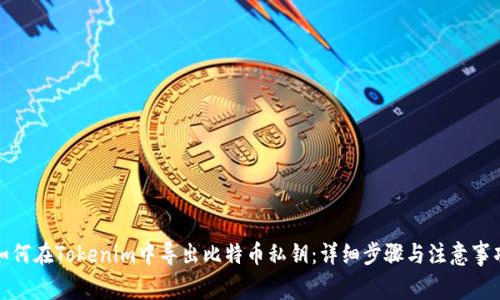 如何在Tokenim中导出比特币私钥：详细步骤与注意事项