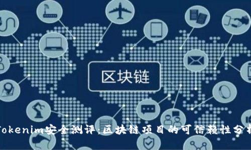 Tokenim安全测评：区块链项目的可信赖性分析