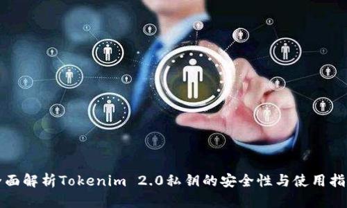 全面解析Tokenim 2.0私钥的安全性与使用指南