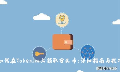 如何在Tokenim上领取分叉币：详细指南与技巧