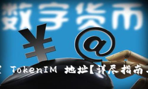 和关键词设置

: 如何正确设置 TokenIM 地址？详尽指南与常见问题解答