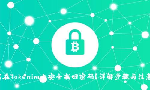  如何在Tokenim上安全找回密码？详解步骤与注意事项