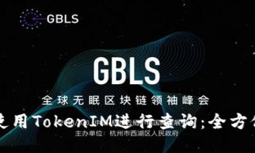 如何使用TokenIM进行查询：全方位指南