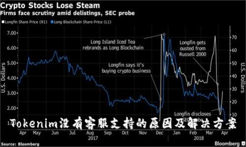 Tokenim没有客服支持的原因及解决方案