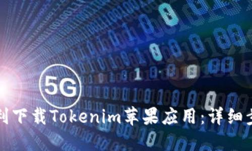 如何顺利下载Tokenim苹果应用：详细步骤指南