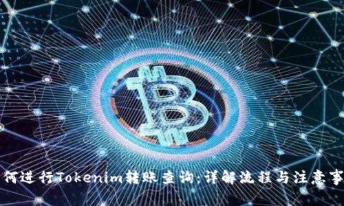 如何进行Tokenim转账查询：详解流程与注意事项