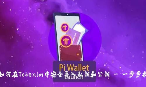 : 如何在Tokenim中安全导入私钥和公钥 - 一步步指南