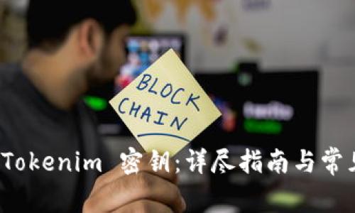 如何找回 Tokenim 密钥：详尽指南与常见问题解答