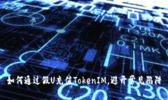 如何通过假U充值TokenIM，避