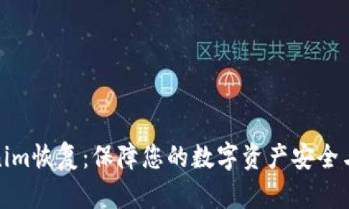 Tokenim恢复：保障您的数字资产安全与访问