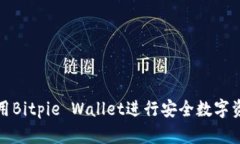 如何使用Bitpie Wallet进行安