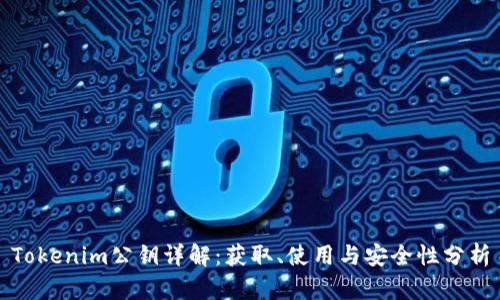 Tokenim公钥详解：获取、使用与安全性分析