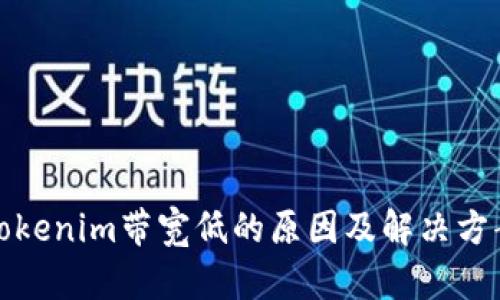 Tokenim带宽低的原因及解决方案