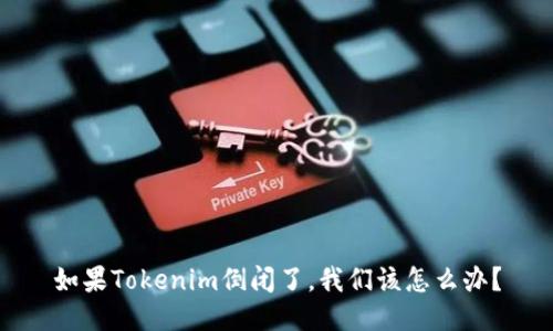 如果Tokenim倒闭了，我们该怎么办？