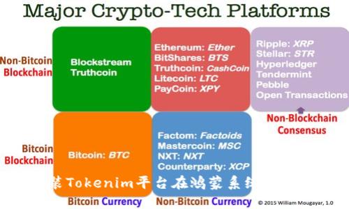 如何安装Tokenim平台在鸿蒙系统上：详细指南