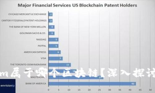 Tokenim属于哪个区块链？深入探讨及分析