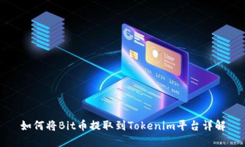 如何将Bit币提取到Tokenim平台详解