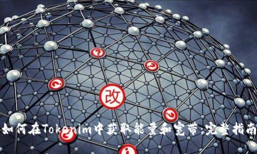 如何在Tokenim中获取能量和宽带：完整指南