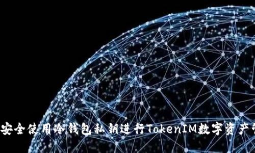 如何安全使用冷钱包私钥进行TokenIM数字资产管理？