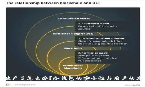 冷钱包公司破产了怎么办？冷钱包的安全性与用户的应对策略分析