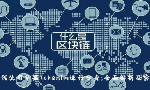 bias如何使用苹果Tokenim进行分身：全面解析及实用技巧