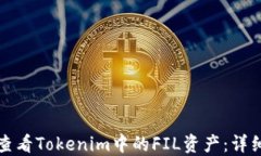 如何查看Tokenim中的FIL资产