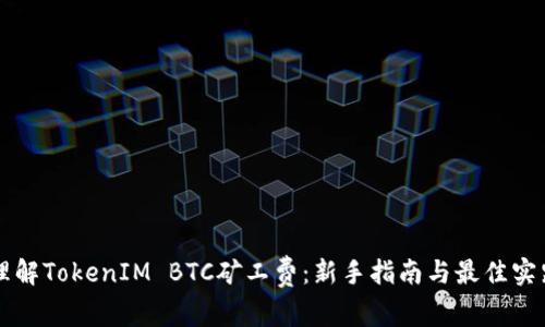 理解TokenIM BTC矿工费：新手指南与最佳实践