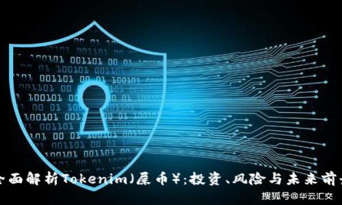 全面解析Tokenim（屎币）：投资、风险与未来前景