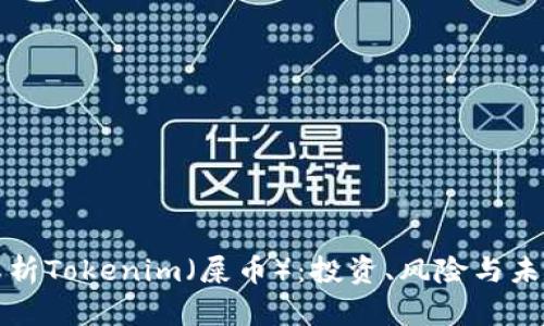 全面解析Tokenim（屎币）：投资、风险与未来前景