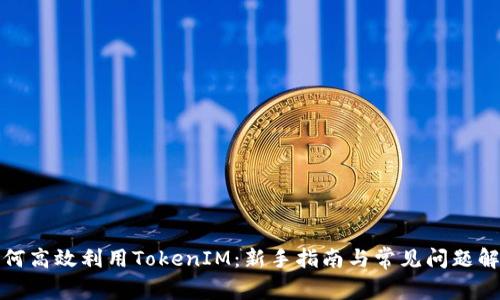 如何高效利用TokenIM：新手指南与常见问题解答