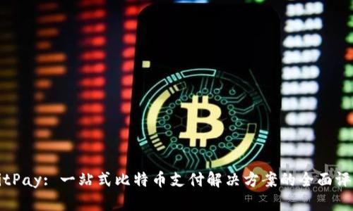 BitPay: 一站式比特币支付解决方案的全面评测