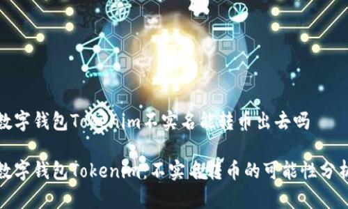 数字钱包Tokenim不实名能转币出去吗

数字钱包Tokenim：不实名转币的可能性分析