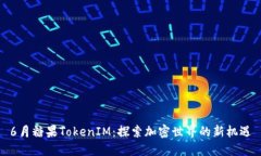 6月糖果TokenIM：探索加密世