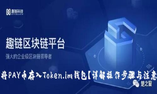 如何将PAY币存入Token.im钱包？详解操作步骤与注意事项