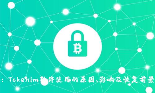 : Tokenim暂停使用的原因、影响及恢复前景