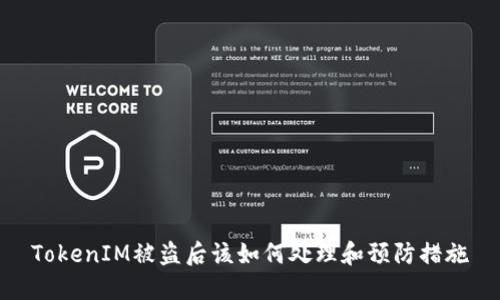 TokenIM被盗后该如何处理和预防措施