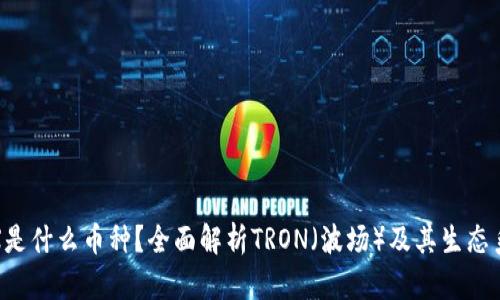 TRX是什么币种？全面解析TRON（波场）及其生态系统