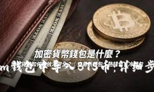 如何在Tokenim钱包中导入BTS币：详细步骤与注意事项