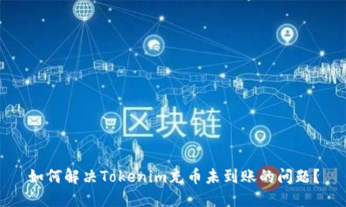 如何解决Tokenim充币未到账的问题？