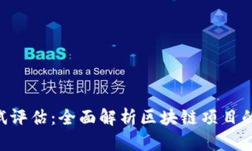 Tokenim测试评估：全面解析区块链项目的潜力与风险