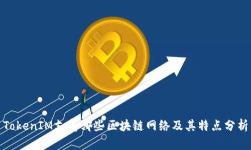 TokenIM支持哪些区块链网络及其特点分析