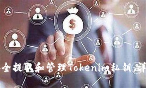 如何安全提取和管理Tokenim私钥：详细指南