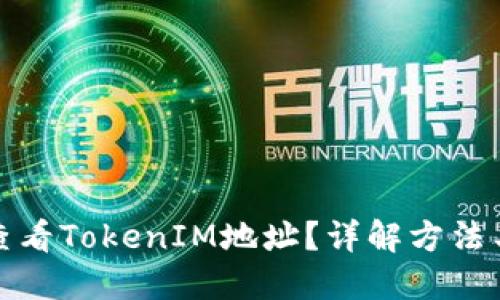 如何查看TokenIM地址？详解方法与技巧