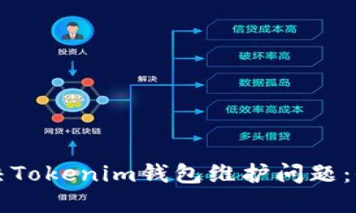 如何解决Tokenim钱包维护问题：全面指南