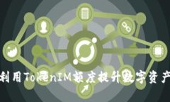 如何有效利用TokenIM额度提