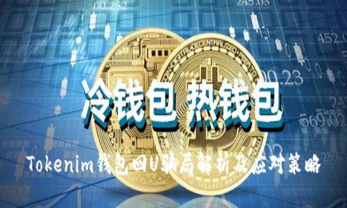 Tokenim钱包回U骗局解析及应对策略