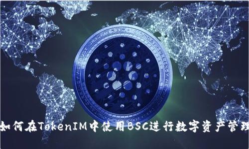 如何在TokenIM中使用BSC进行数字资产管理