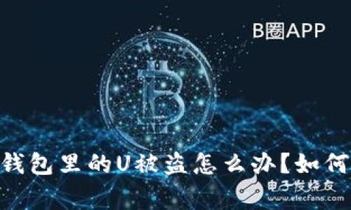  Tokenim钱包里的U被盗怎么办？如何报警维权？