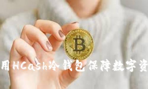 如何使用HCash冷钱包保障数字资产安全