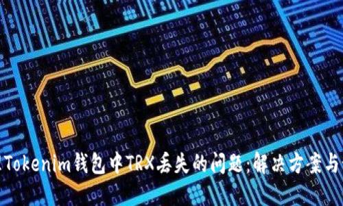 如何处理Tokenim钱包中TRX丢失的问题：解决方案与预防措施